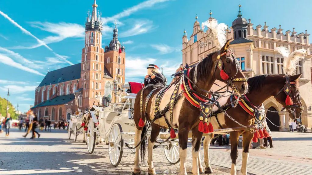 Horses and church in Krakow