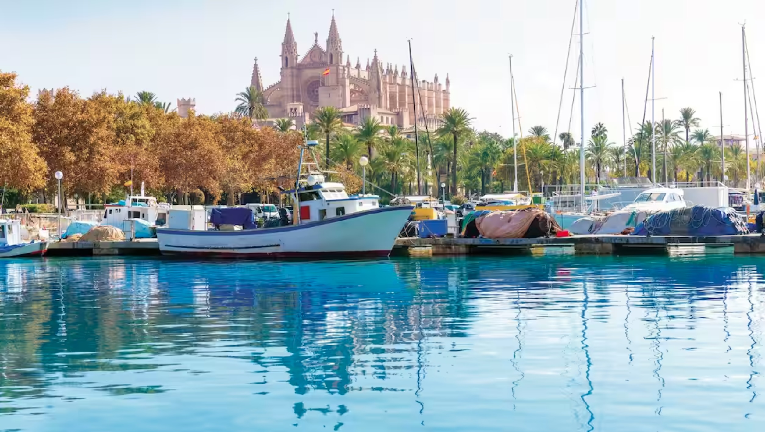Palma marina with the cathedral in the background, Majorca