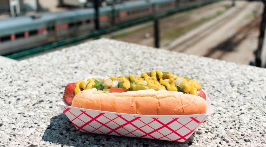 hotdog in Chicago