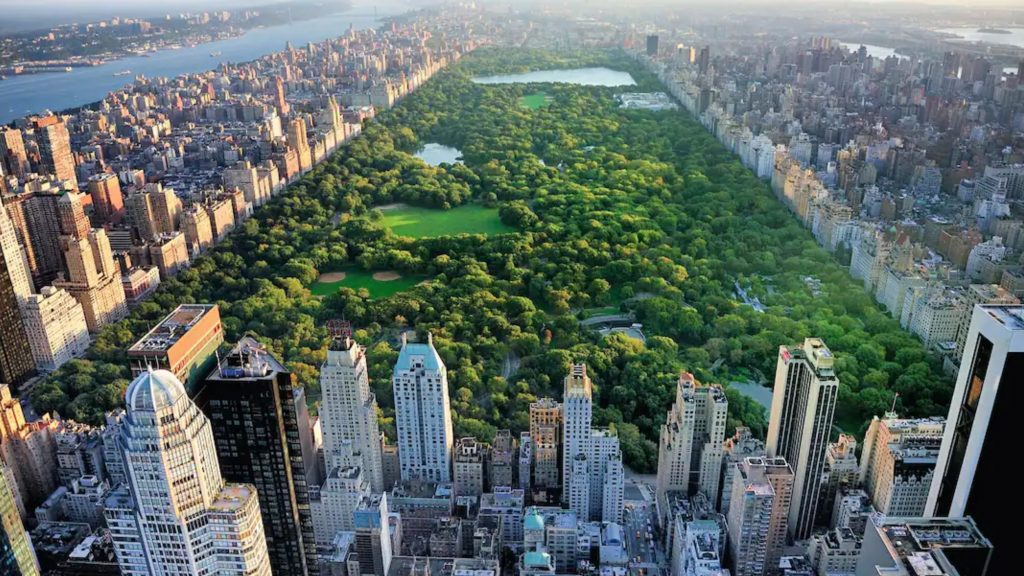 aerial view of Central Park, NYC