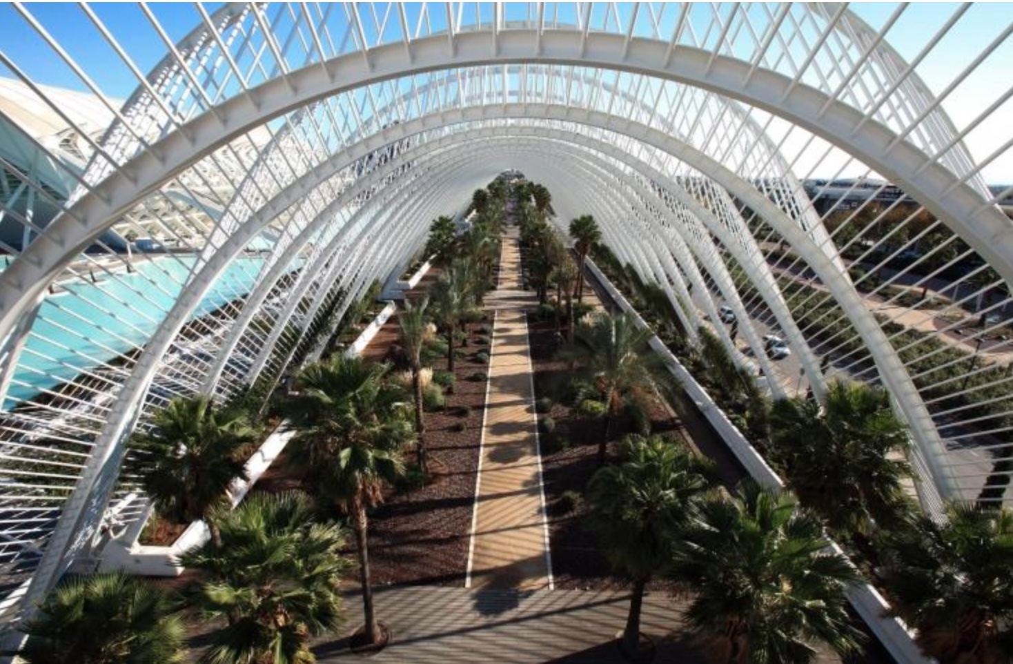 inside the city of Arts and Sciences, Valencia